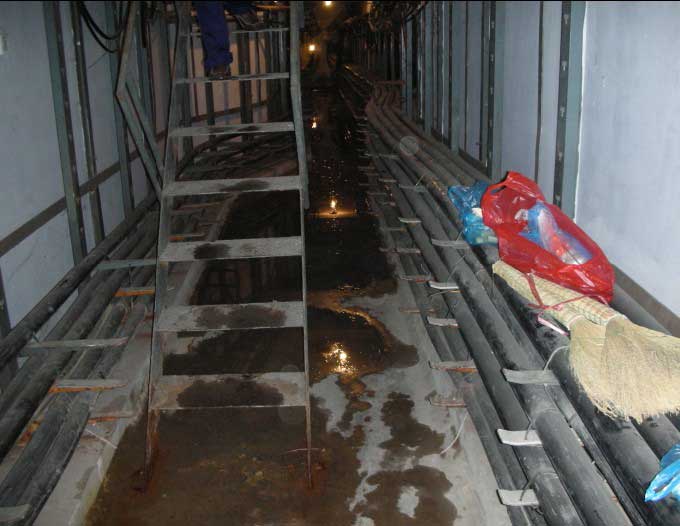 ���¹���©